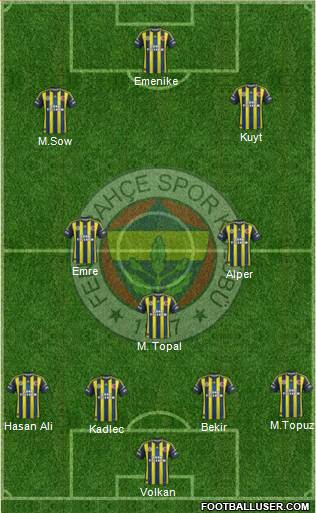 Fenerbahçe SK Formation 2013