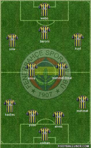 Fenerbahçe SK Formation 2013