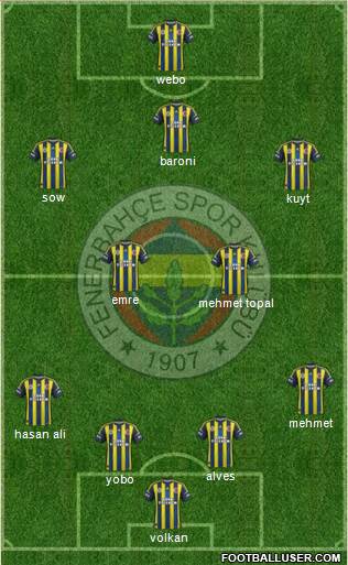 Fenerbahçe SK Formation 2013