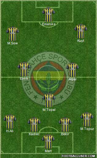 Fenerbahçe SK Formation 2013