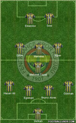 Fenerbahçe SK Formation 2013