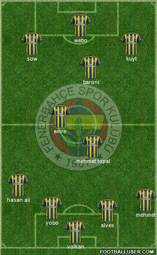 Fenerbahçe SK Formation 2013