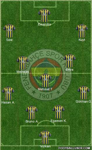 Fenerbahçe SK Formation 2013
