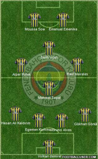 Fenerbahçe SK Formation 2013