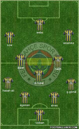 Fenerbahçe SK Formation 2013