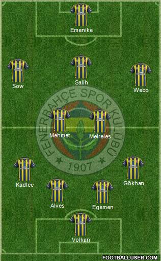 Fenerbahçe SK Formation 2013