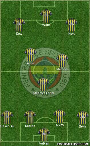 Fenerbahçe SK Formation 2013
