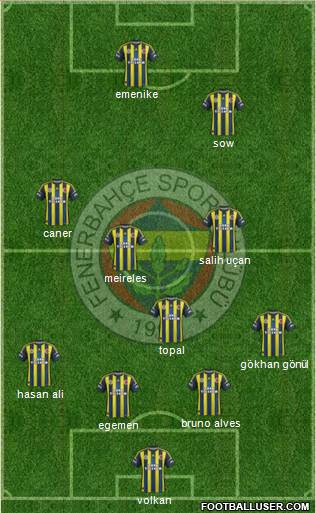 Fenerbahçe SK Formation 2013