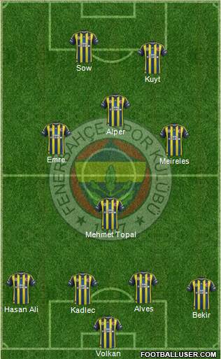 Fenerbahçe SK Formation 2013