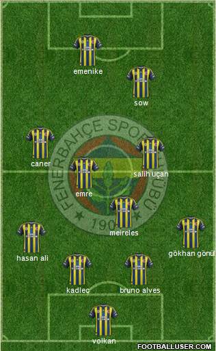 Fenerbahçe SK Formation 2013