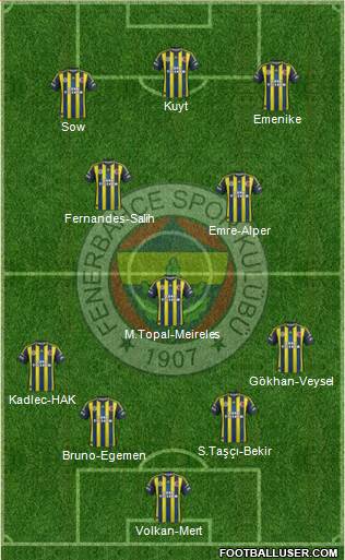Fenerbahçe SK Formation 2013