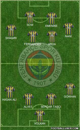 Fenerbahçe SK Formation 2013