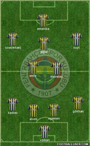 Fenerbahçe SK Formation 2013
