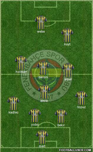 Fenerbahçe SK Formation 2013