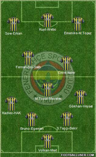 Fenerbahçe SK Formation 2013