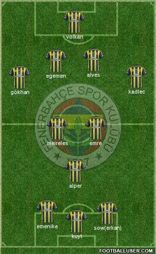 Fenerbahçe SK Formation 2013