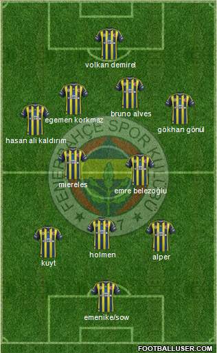 Fenerbahçe SK Formation 2013