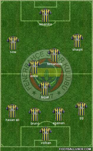 Fenerbahçe SK Formation 2013