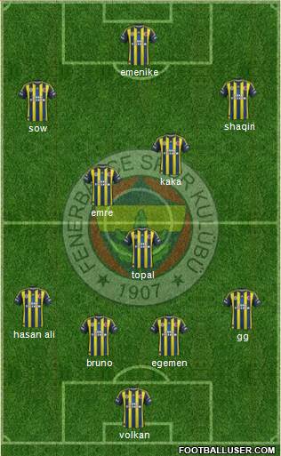 Fenerbahçe SK Formation 2013