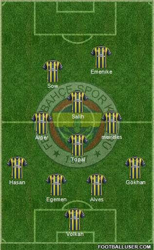 Fenerbahçe SK Formation 2013