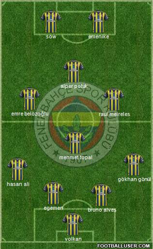 Fenerbahçe SK Formation 2013