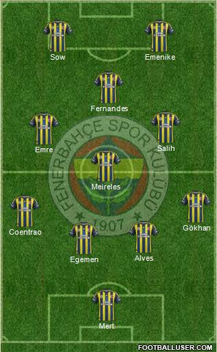 Fenerbahçe SK Formation 2013