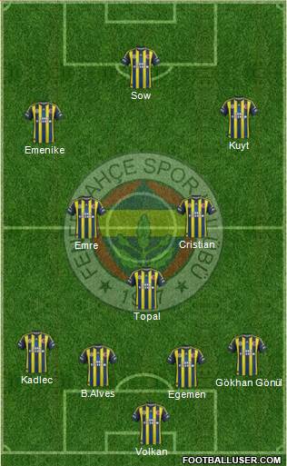 Fenerbahçe SK Formation 2013