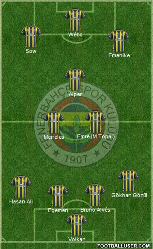 Fenerbahçe SK Formation 2013