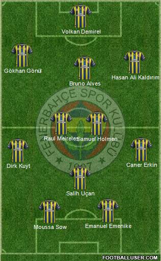 Fenerbahçe SK Formation 2013