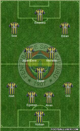Fenerbahçe SK Formation 2013