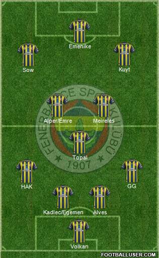 Fenerbahçe SK Formation 2013