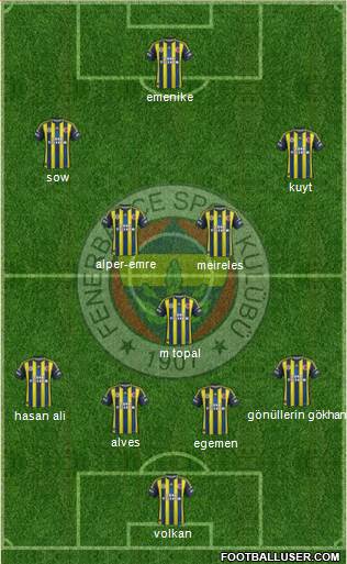 Fenerbahçe SK Formation 2013