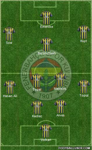 Fenerbahçe SK Formation 2013