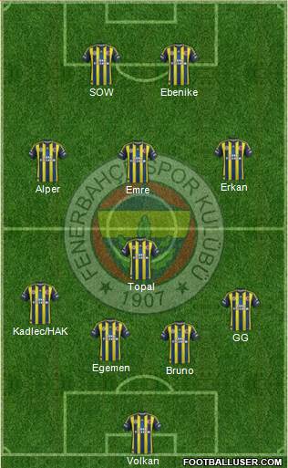 Fenerbahçe SK Formation 2013
