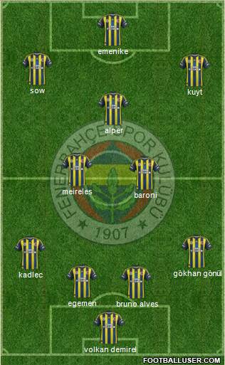 Fenerbahçe SK Formation 2013