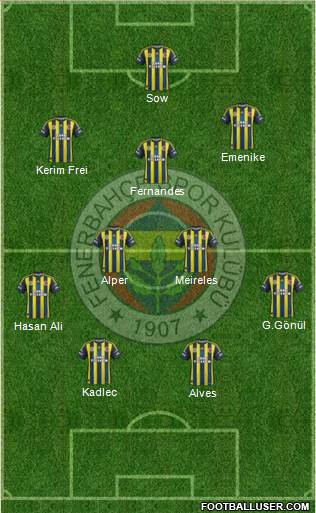 Fenerbahçe SK Formation 2013