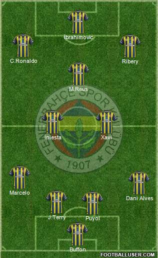 Fenerbahçe SK Formation 2013