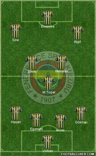 Fenerbahçe SK Formation 2013