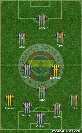 Fenerbahçe SK Formation 2013
