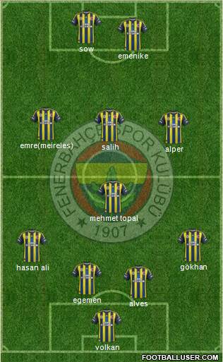 Fenerbahçe SK Formation 2013
