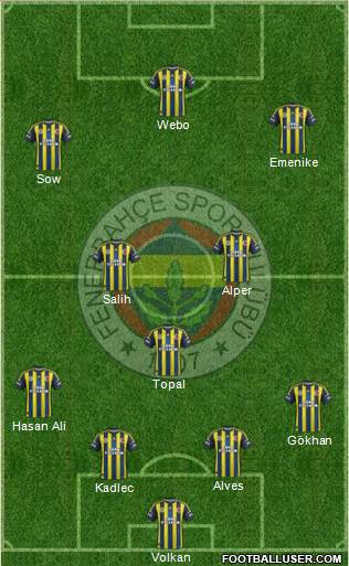 Fenerbahçe SK Formation 2013