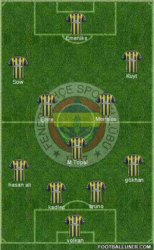 Fenerbahçe SK Formation 2013