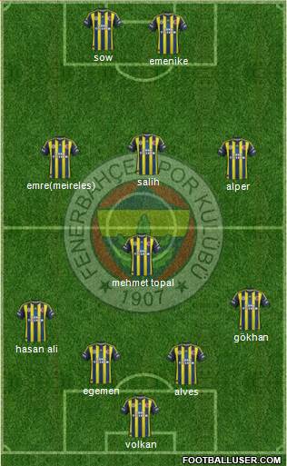 Fenerbahçe SK Formation 2013