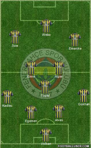 Fenerbahçe SK Formation 2013