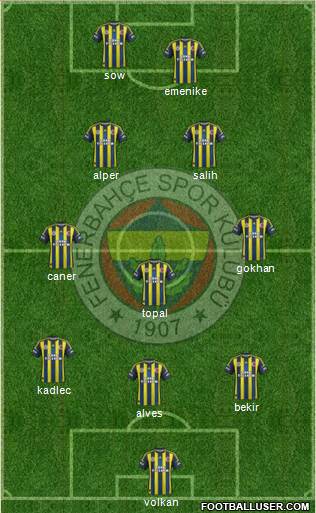 Fenerbahçe SK Formation 2013