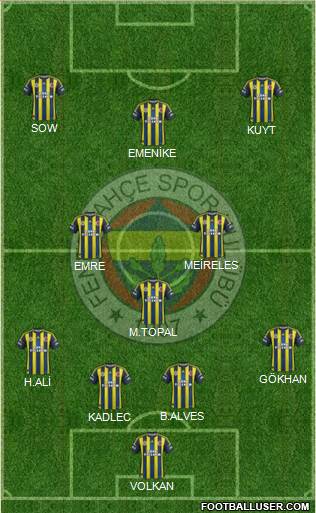 Fenerbahçe SK Formation 2013