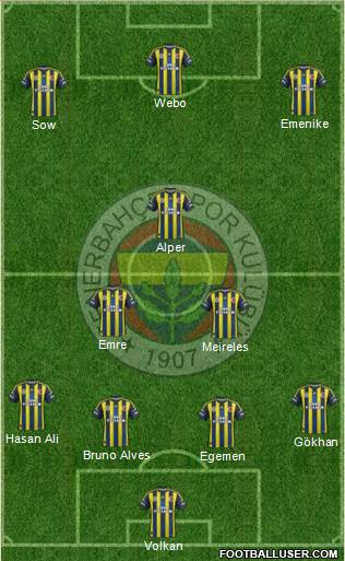Fenerbahçe SK Formation 2013