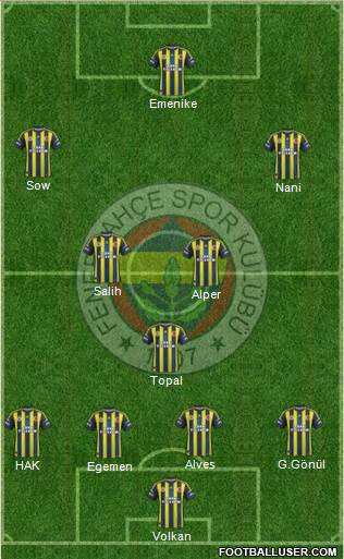 Fenerbahçe SK Formation 2013