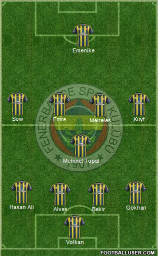 Fenerbahçe SK Formation 2013