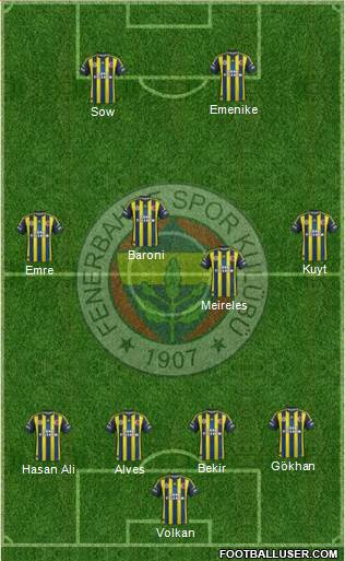 Fenerbahçe SK Formation 2013